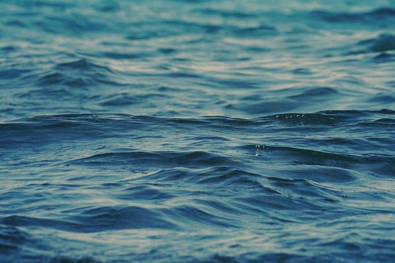 Seaside Sanctuary