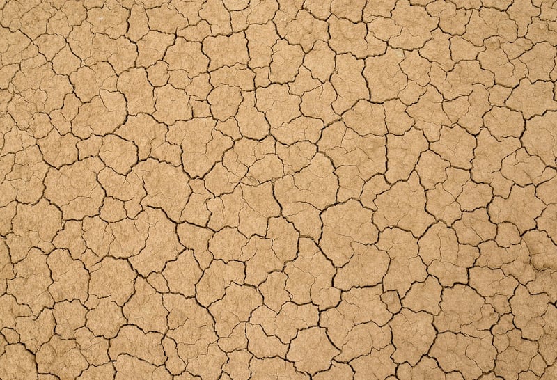 Desert Oasis Retreat