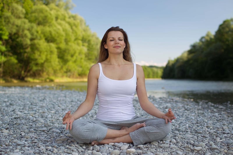 Mountain Meditation Center